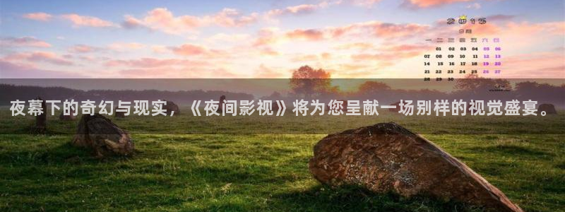 秋霞福利视频在线观看