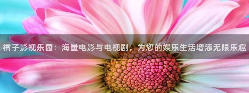 秋霞电影新网址
