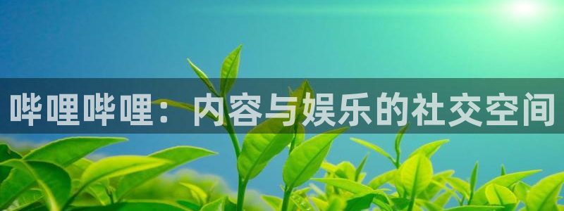 秋霞视频播放
