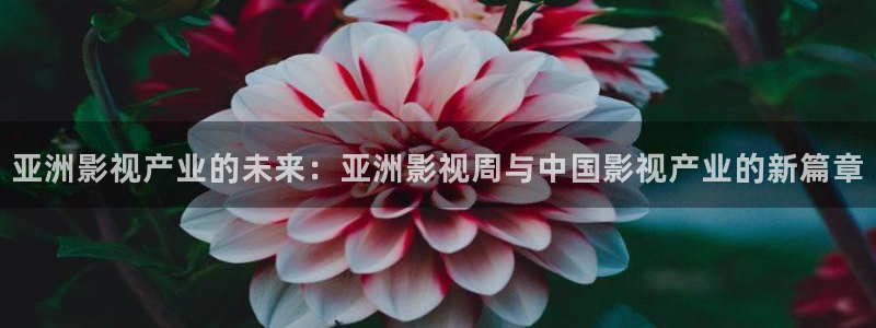 秋霞62伦理片