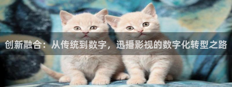 秋霞在线观看免费视频播放
