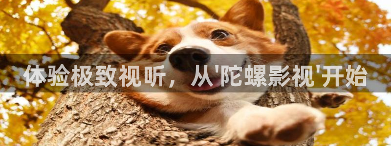 秋霞电影网0